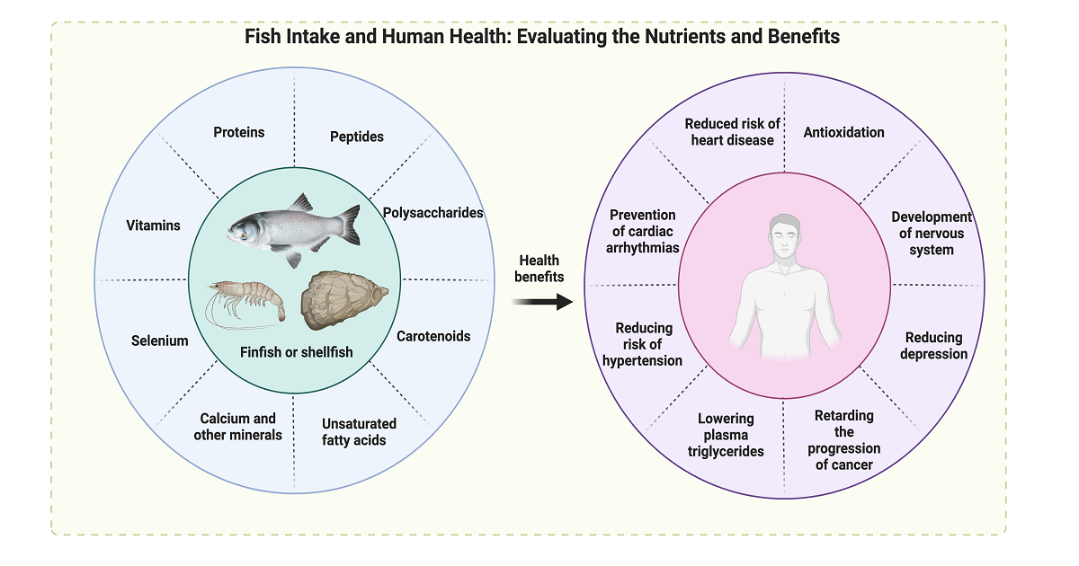 Graphical abstract